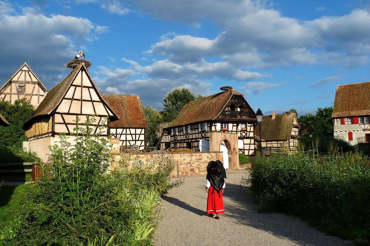 Chez Christian Apartment Breitenbach-Haut-Rhin Exterior photo